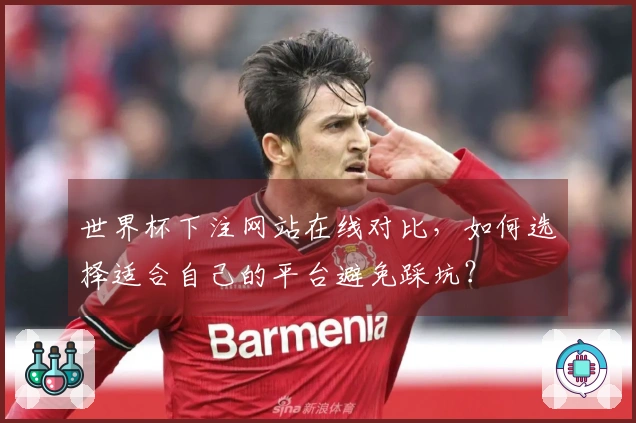世界杯下注网站在线对比，如何选择适合自己的平台避免踩坑？