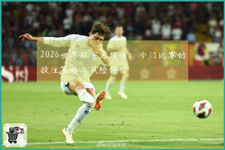 2026世界杯官方投注：冷门比赛的投注策略与风险评估