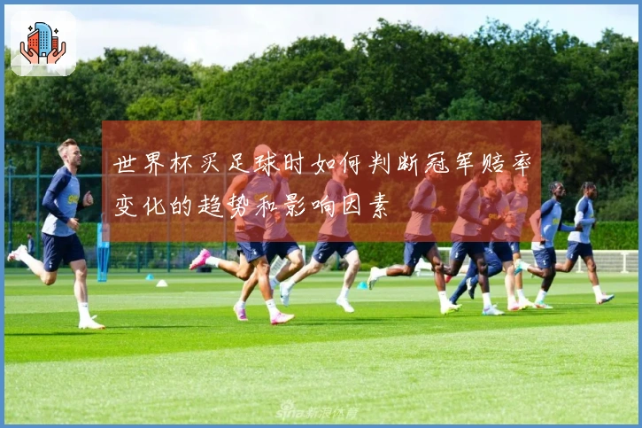 世界杯买足球时如何判断冠军赔率变化的趋势和影响因素