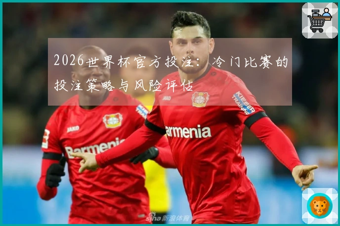 2026世界杯官方投注：冷门比赛的投注策略与风险评估