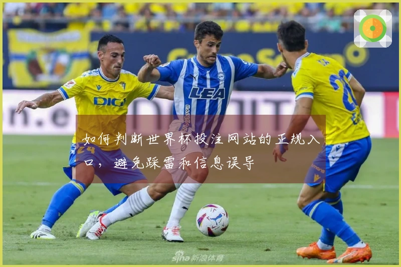 如何判断世界杯投注网站的正规入口，避免踩雷和信息误导