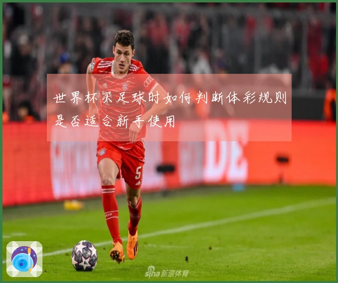 世界杯买足球时如何判断体彩规则是否适合新手使用