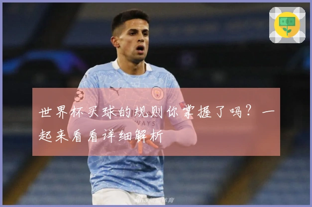 世界杯买球的规则你掌握了吗？一起来看看详细解析