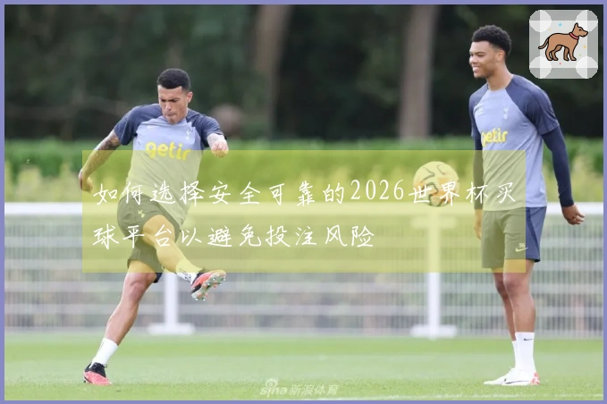 如何选择安全可靠的2026世界杯买球平台以避免投注风险