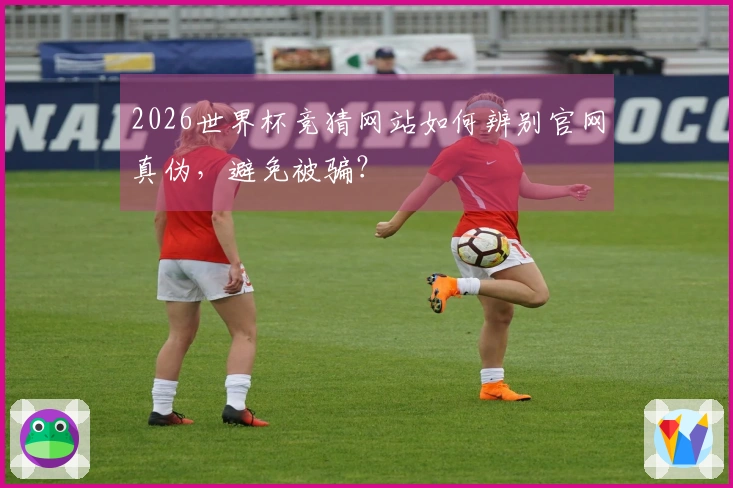 2026世界杯竞猜网站如何辨别官网真伪，避免被骗？