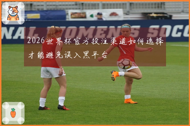 2026世界杯官方投注渠道如何选择才能避免误入黑平台