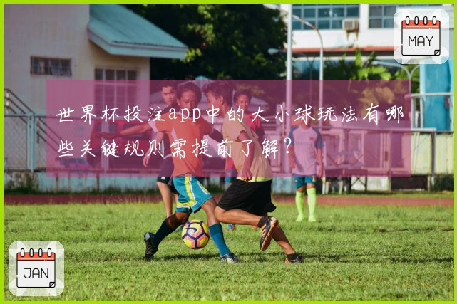 世界杯投注app中的大小球玩法有哪些关键规则需提前了解？