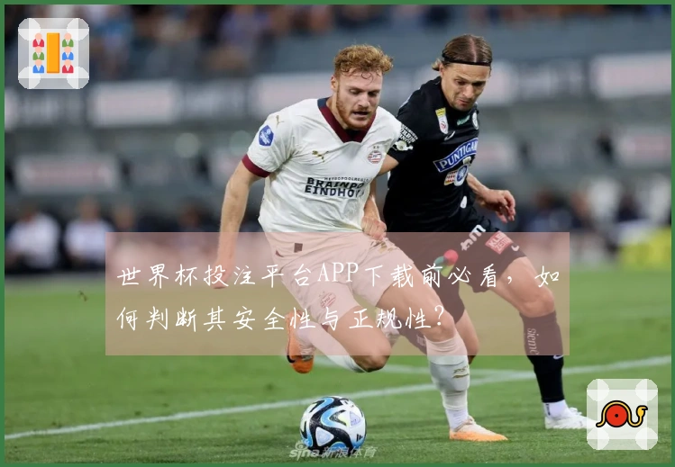 世界杯投注平台APP下载前必看，如何判断其安全性与正规性？