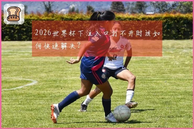 2026世界杯下注入口打不开时该如何快速解决？