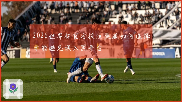 2026世界杯官方投注渠道如何选择才能避免误入黑平台